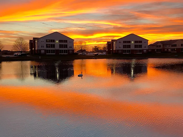 Sunset on the pond