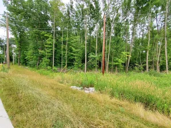 Dearing Rd, Spring Arbor, MI 49283