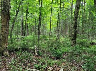 W Tamarack Lake Rd, Watersmeet, MI 49969