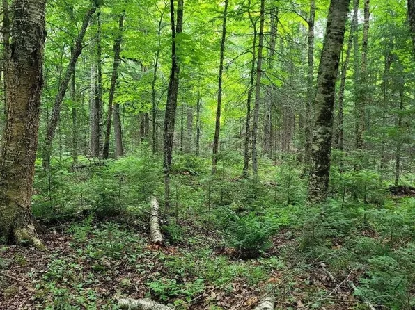 W Tamarack Lake Rd, Watersmeet, MI 49969