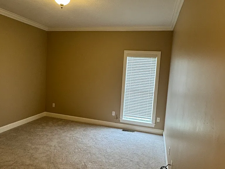 133 Ivybrook Cv — Photo 14