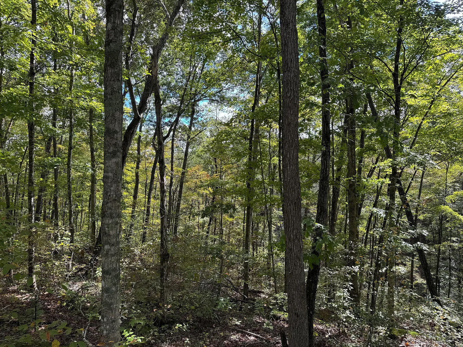 87-88 89 Sandstone Point Trl photo 1