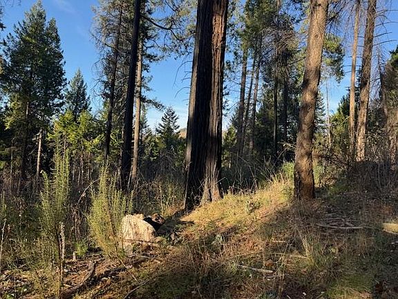 4th image of 5026 Old Mine Rd