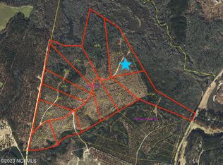 615 Fortis Farm Road, Vass, NC 28394