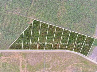 Joyner Swamp Rd LOT 1A, Galivants Ferry, SC 29544