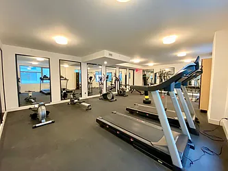 Rented by Living New York