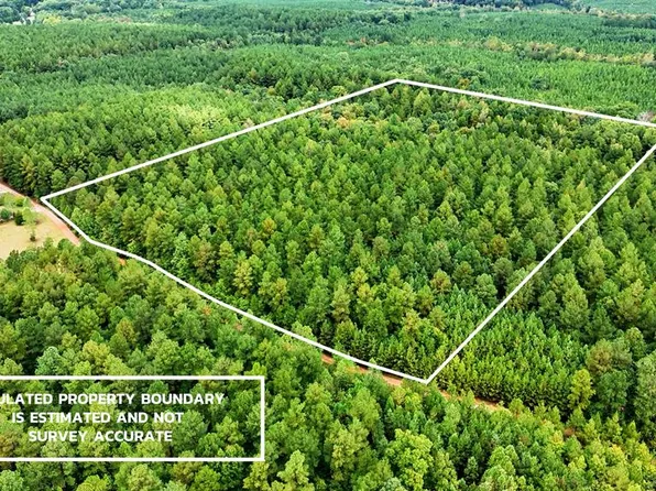 1697 Flat Rock Creek Trl, Victoria, VA 23974