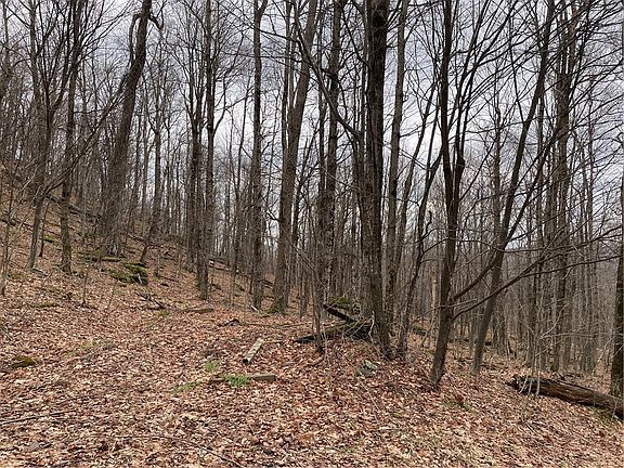 4th image of 4-11 W Highland Rd Lot 11