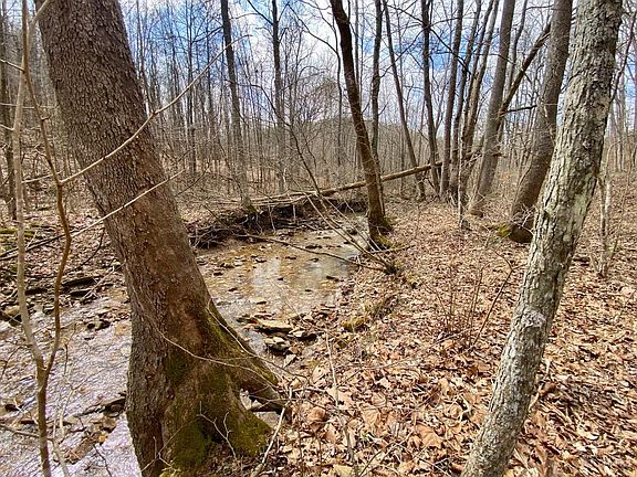 5th image of 20 Beech Fork Rd