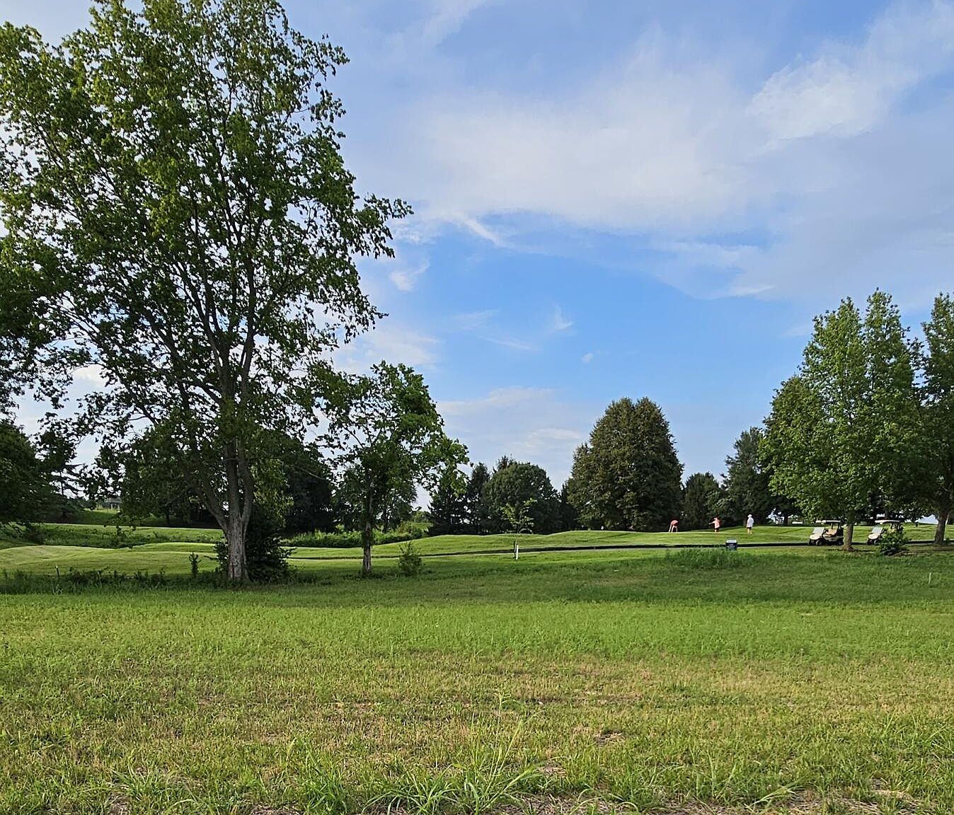 Lot 25 Highland Spring/Vintage Pointe