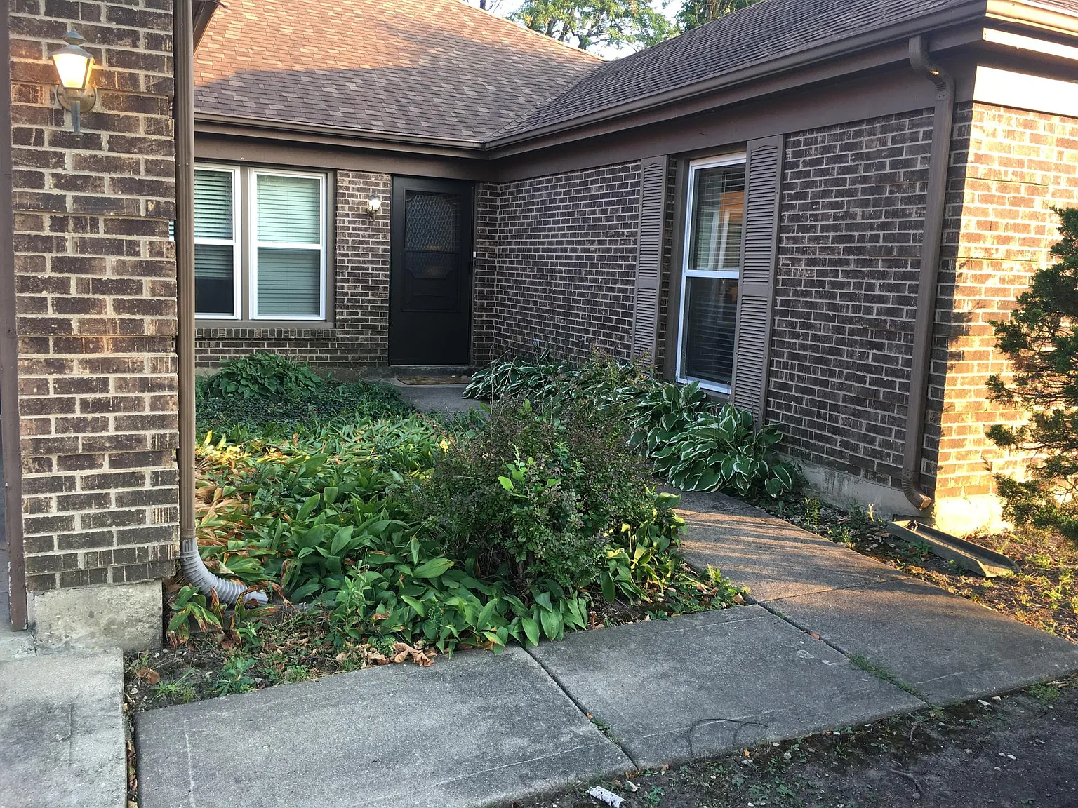 3 bed, 1828 sqft, $3,450 — Photo 3
