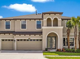 12782 Mangrove Forest Dr, Riverview, FL 33579