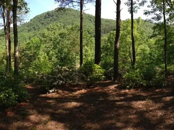 Halfnoon Trail Lot 40, Travelers Rest, SC 29690