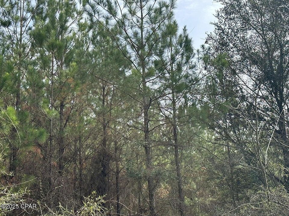 2nd image of TRACT 6301 W Love Rd