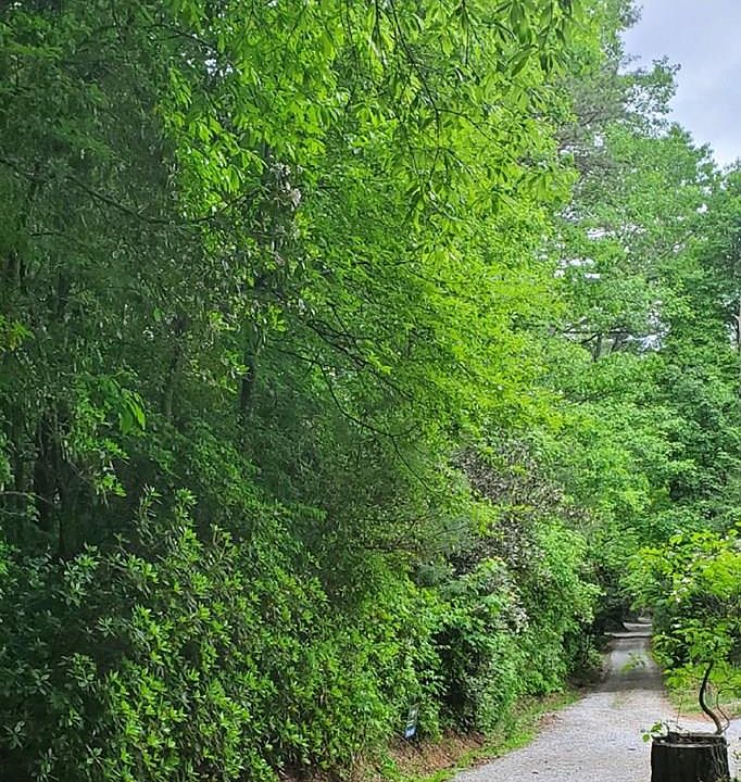 2nd image of TBD Minerva Lane