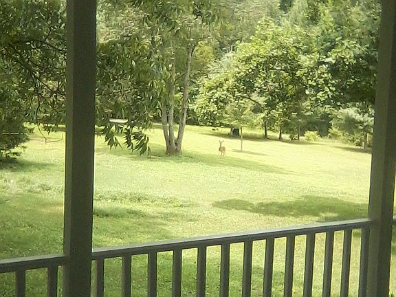 Side yard view from porch