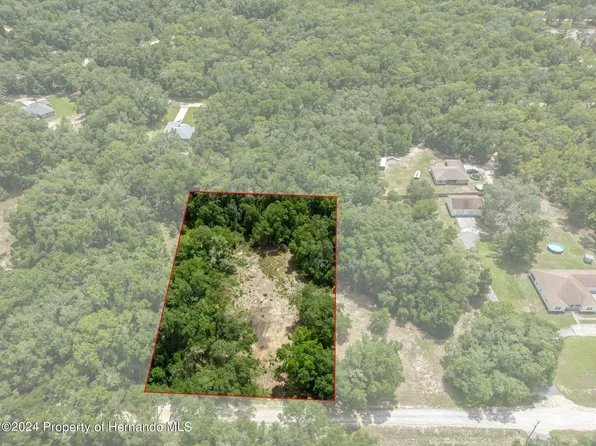 0 Elaine Dr, Webster, FL 33597