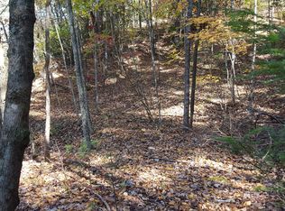 Tbd Mast Gap Road, Sugar Grove, NC 28679