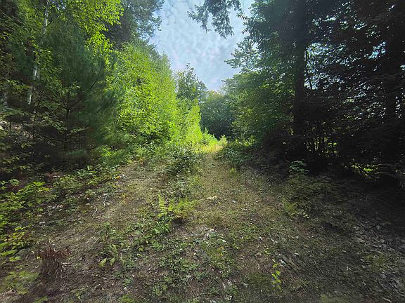 5th image of Lot #5 Cilley Brook Lane #5