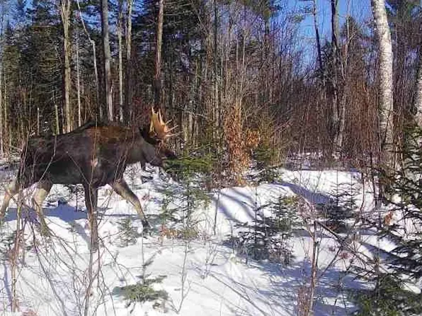 Lot#145 Bangor Road, Stockton Springs, ME 04981