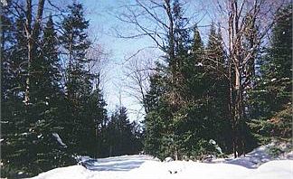 2nd image of 3998 W William Nelson Rd