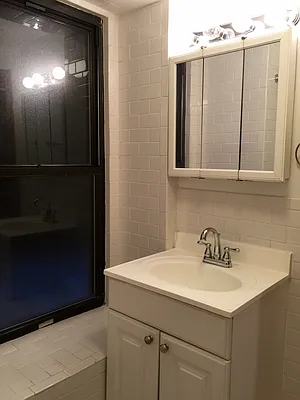 Rented by Adir Realty | media 37