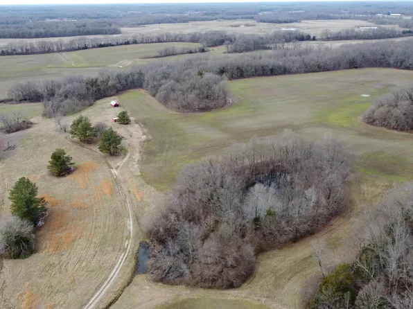 1490 Fayette Corner Rd, Whiteville, TN 38075