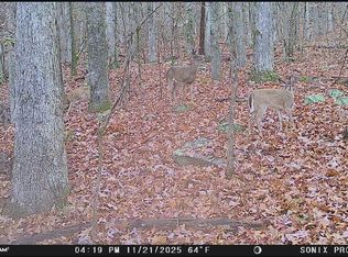 0 Byrd Dr, Owens Cross Roads, AL 35763