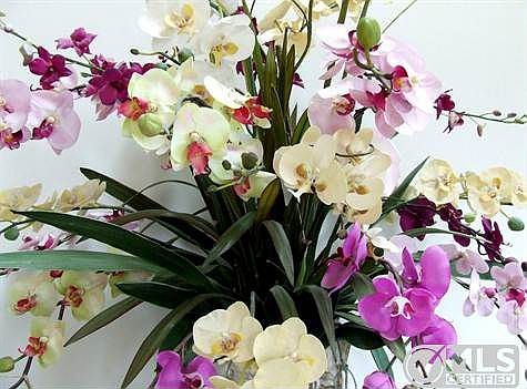 Flowers in Foyer