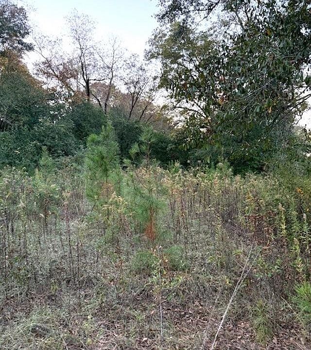2nd image of 0 Barrow Rd