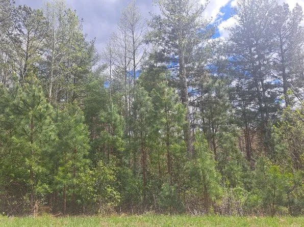 0 Little Dan River Rd, Claudville, VA 24076