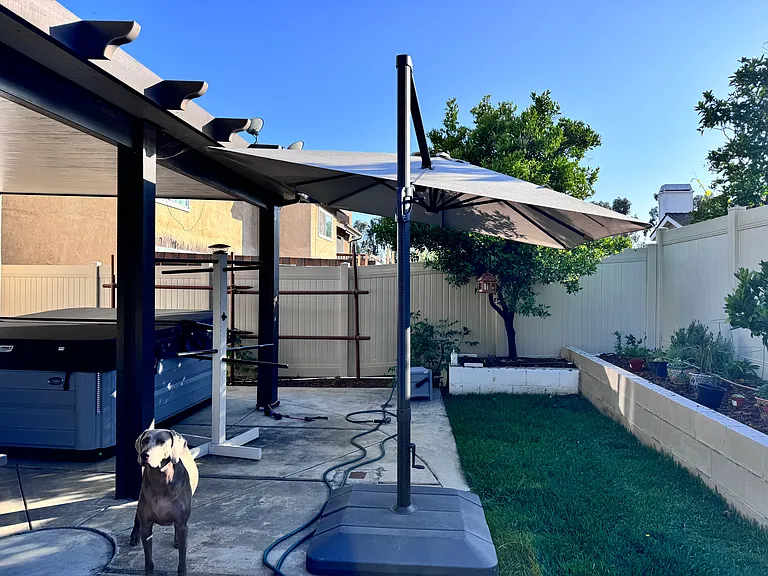 23501 White Dove Dr — Photo 33
