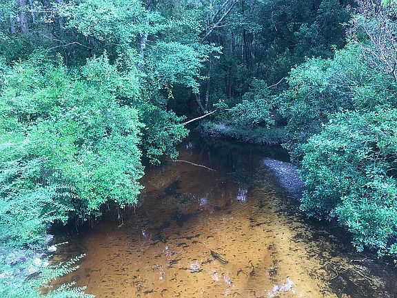 North Creek