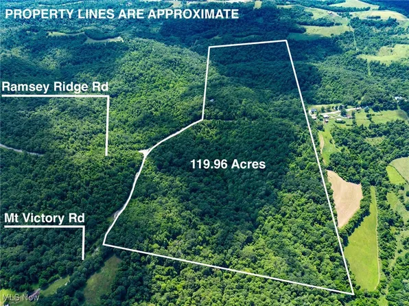 59900 Ramsey Ridge Rd, Jacobsburg, OH 43933