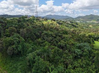 State Highway 7718 Km #3.6, Aibonito, PR 00705