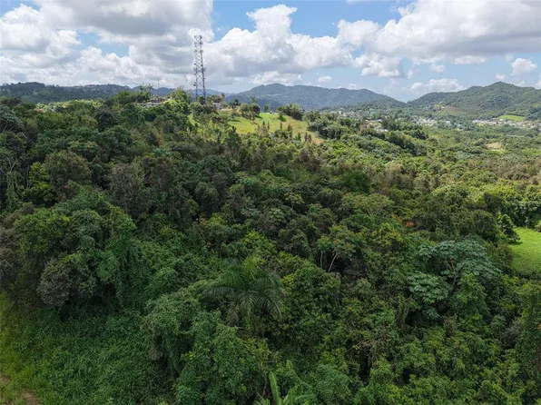 State Highway 7718 Km #3.6, Aibonito, PR 00705