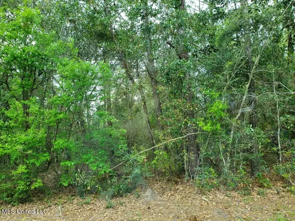 0 E New Hope Church Rd, Lucedale, MS 39452