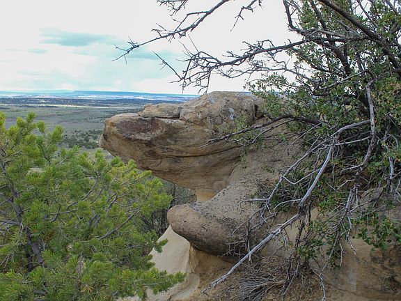 2nd image of Vallecitos Rd