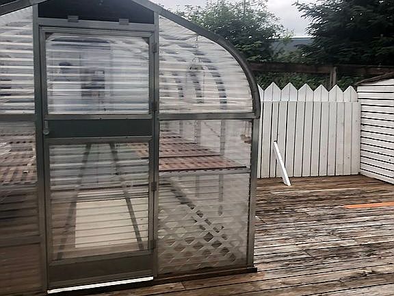 Greenhouse in back yard