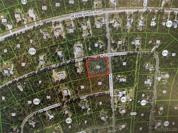 4648 W Horseshoe Dr, Beverly Hills, FL 34465