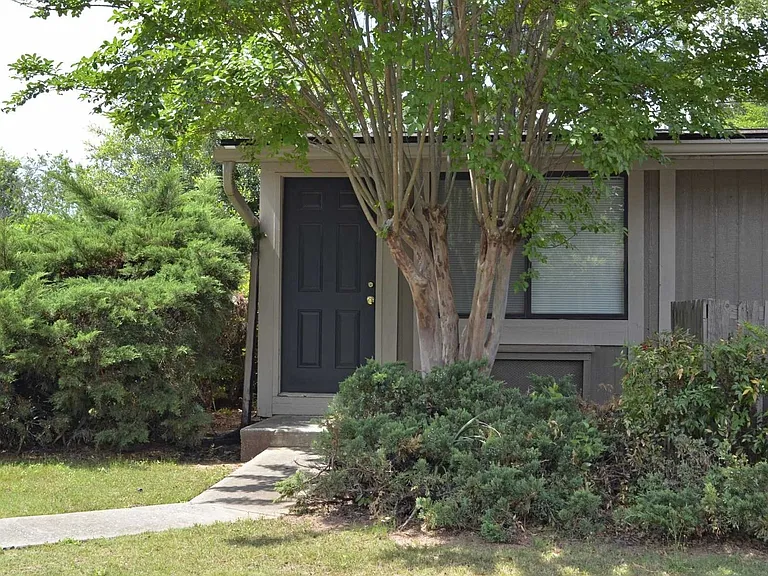 Pine Hill — Photo 9