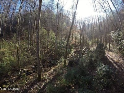 303 Chestnut Valley Rd, Vonore, TN, 37885