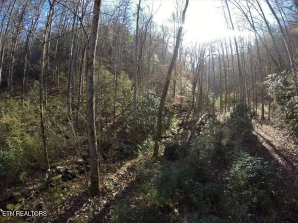 303 Chestnut Valley Rd, Vonore, TN 37885