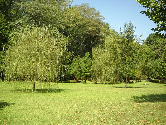 Park like front lawn