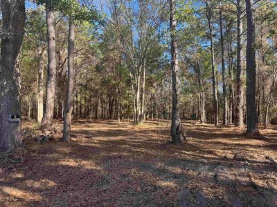 740 Langston Ln, Havana, FL, 32333