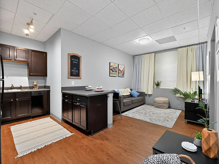 Living Room with Wood-Style Flooring and Curtains at University Plaza NIU Apartments