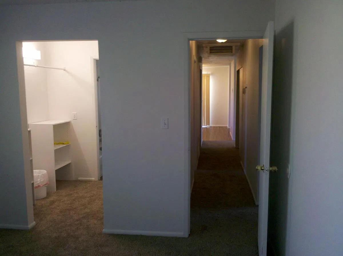 3 bed, 1100 sqft, $2,150 — Photo 3