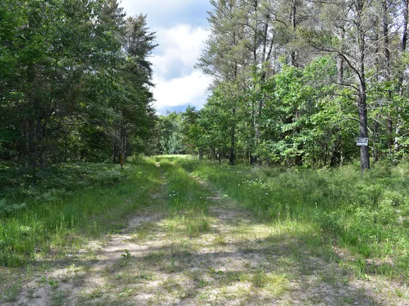 Crapo Lake Rd, Johannesburg, MI 49751