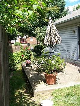 nice shade both side and back