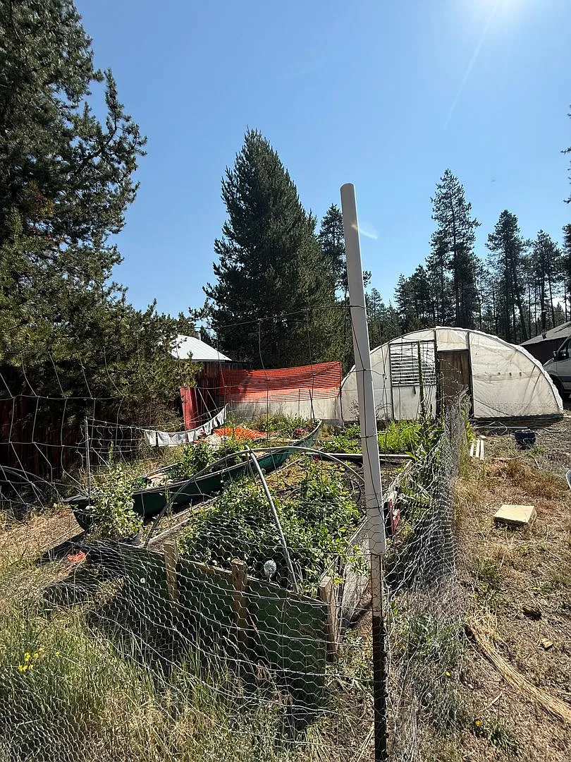 Recently Remodeled 2 Bedroom Home on 1 Acre with Greenhouse, Garden & Chicken Coop — Photo 4